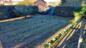 Borgo Villa - Orto