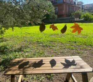 Natura, fantasia e manualità