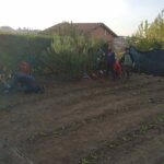 I Benefici della Scuola in Natura