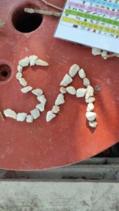 Lettere con i sassi