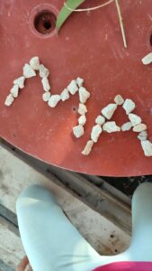 Lettere con i sassi